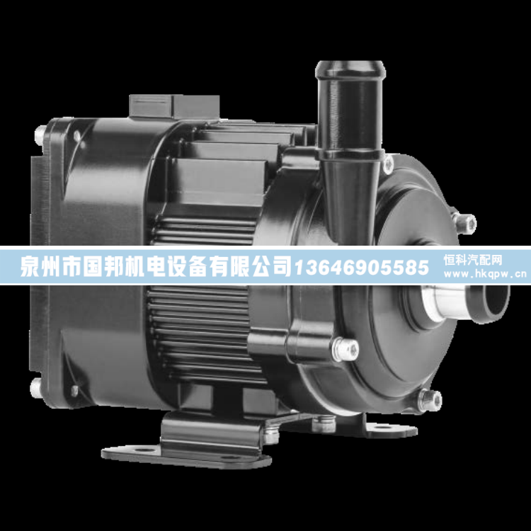 水泵WEWPA30A8-X-X-X,无刷水泵,泉州市国邦机电设备有限公司