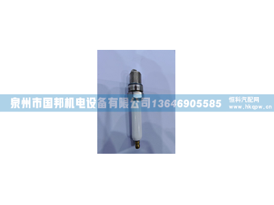 火花塞 243-4291,火花塞,泉州市国邦机电设备有限公司