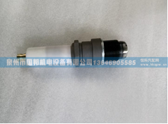 火花塞 243-4291,火花塞,泉州市国邦机电设备有限公司