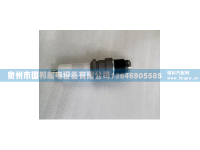 火花塞 243-4291,火花塞,泉州市国邦机电设备有限公司