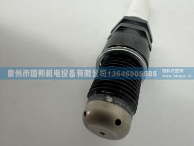 火花塞TVN120-3705002SF2,火花塞,泉州市国邦机电设备有限公司