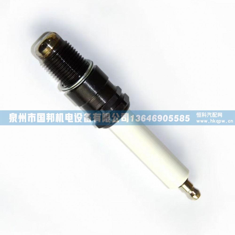 瓦锡兰WARTSILA燃气发电机组火花塞PAAF092377