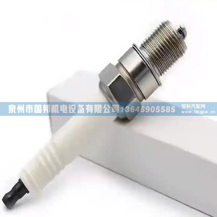 火花塞479-7702,火花塞,泉州市国邦机电设备有限公司