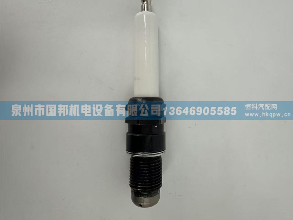 火花塞69919H,火花塞,泉州市国邦机电设备有限公司