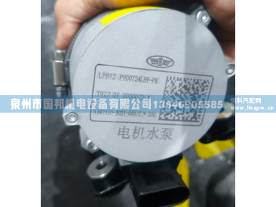电子水泵P900724L89,水泵,泉州市国邦机电设备有限公司