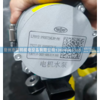 电子水泵P900724L89,水泵,泉州市国邦机电设备有限公司