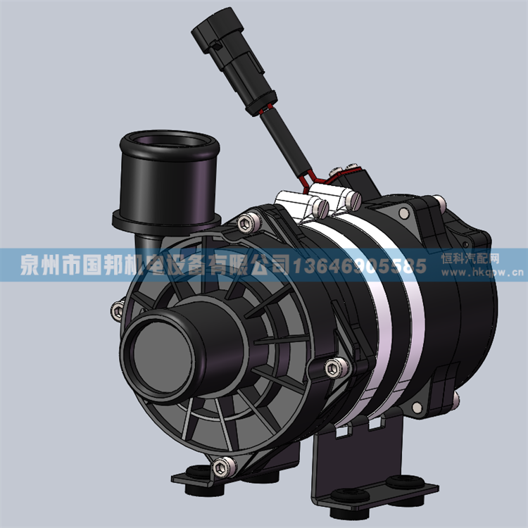 电子水泵P900724L89GB