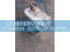 WG9925547926,三元催化器,山东潍服新能源科技有限公司