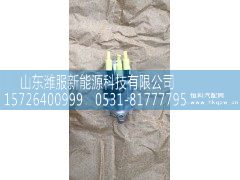 ,博世2.2喷嘴 消声器三元催化器,山东潍服新能源科技有限公司