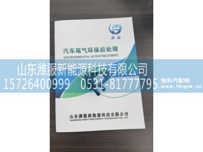 WG1034121136,压差传感器,山东潍服新能源科技有限公司