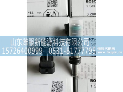 0280158714-02C,DM2.2尿索喷嘴喷芯,山东潍服新能源科技有限公司