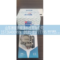 电子节气门   2JT076-021