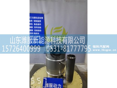 WG9925546700,MT13国六后处理器总成（带保温棉）(平行车架/优化),山东潍服新能源科技有限公司