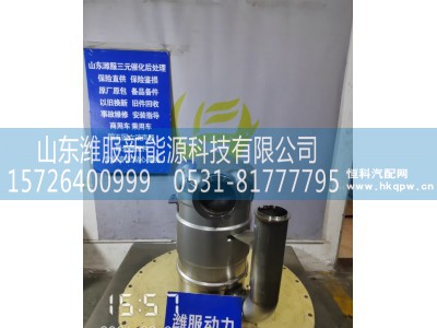 WG9925546700,MT13国六后处理器总成（带保温棉）(平行车架/优化),山东潍服新能源科技有限公司