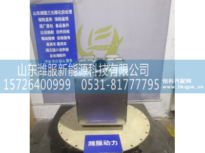 GZWWPA1013271139,三元催化转化器,山东潍服新能源科技有限公司