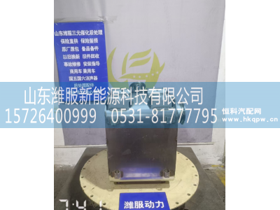 GZWWPA1013271139,三元催化转化器,山东潍服新能源科技有限公司
