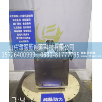 GZWWPA1013271139,三元催化转化器,山东潍服新能源科技有限公司