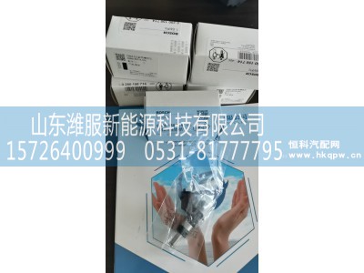 0280158714-02C,尿索喷嘴喷芯,山东潍服新能源科技有限公司
