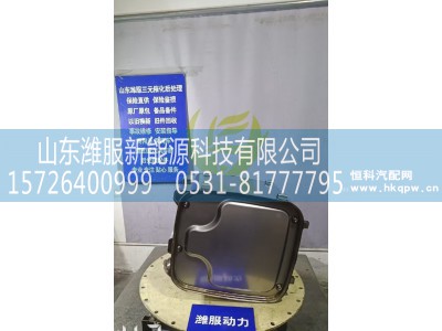 1017968889,三元催化转化器,山东潍服新能源科技有限公司