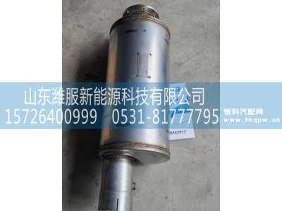 1208010,后处理,山东潍服新能源科技有限公司