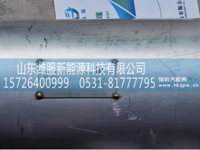 1208010,后处理,山东潍服新能源科技有限公司