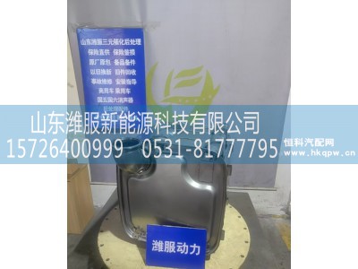 1009876184,三元催化转化器,山东潍服新能源科技有限公司