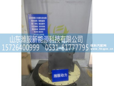 1009876184,三元催化转化器,山东潍服新能源科技有限公司