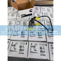 康明斯国六尿素喷嘴  E4394644（A055E026）