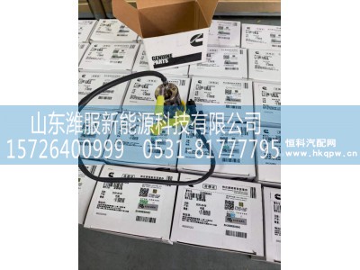 E4394644（A055E026）,康明斯国六尿素喷嘴,山东潍服新能源科技有限公司