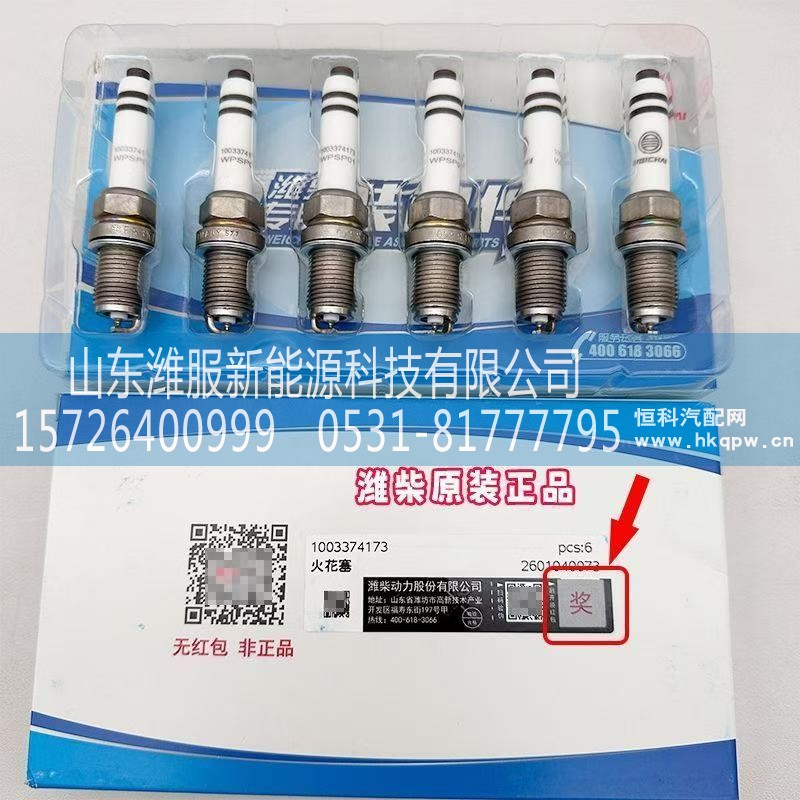 1003374173,火花塞,山东潍服新能源科技有限公司