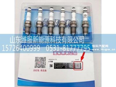 1003374173,火花塞,山东潍服新能源科技有限公司