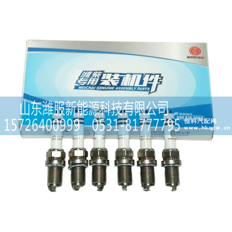 1003374173,火花塞,山东潍服新能源科技有限公司