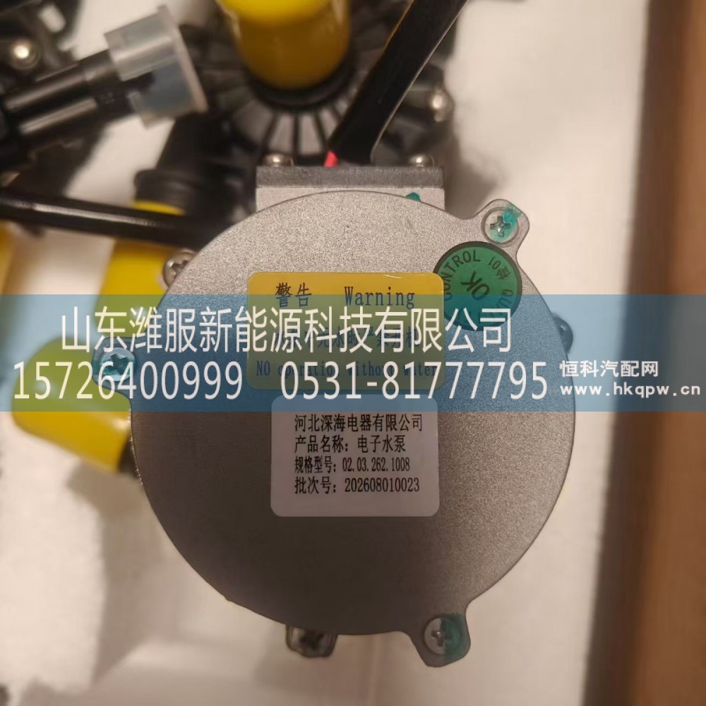8101-09787,电子水泵,山东潍服新能源科技有限公司