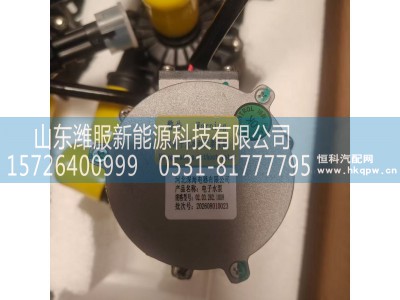 8101-09787,电子水泵,山东潍服新能源科技有限公司