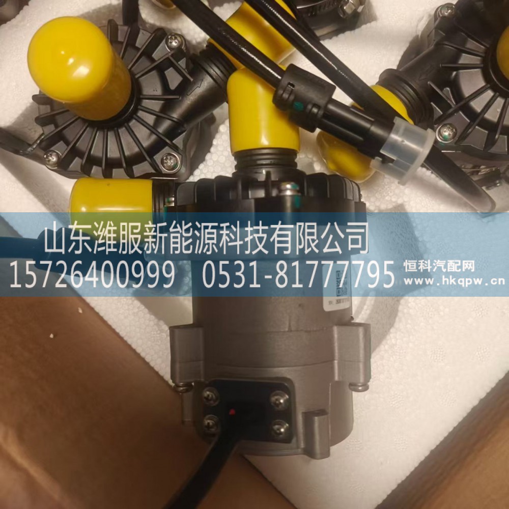 8101-09787,电子水泵,山东潍服新能源科技有限公司