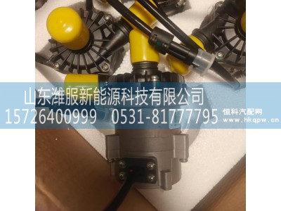 8101-09787,电子水泵,山东潍服新能源科技有限公司