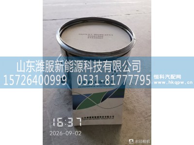 WG9925546202,DPF总成(Hi-SCR)(康宁+优美科）(Ф12″×10″),山东潍服新能源科技有限公司