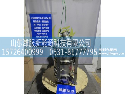 1210010-74QS,催化消音器,山东潍服新能源科技有限公司