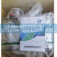 1002232360   SCR催化消声器