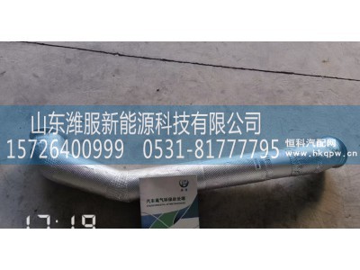 WG9925544305,排气管,山东潍服新能源科技有限公司