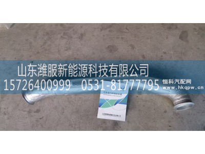 WG9925544305,排气管,山东潍服新能源科技有限公司