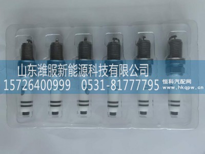 WPA1003373173,火花塞,山东潍服新能源科技有限公司
