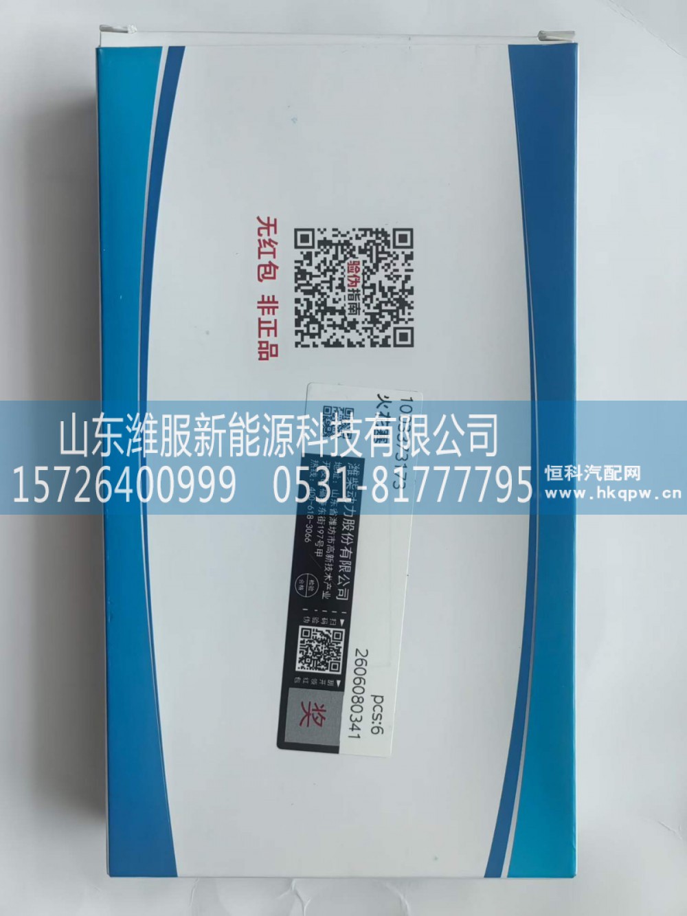 WPA1003373173,火花塞,山东潍服新能源科技有限公司