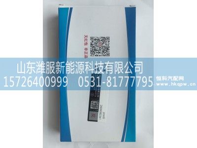 WPA1003373173,火花塞,山东潍服新能源科技有限公司