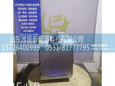 1017968889,三元催化,山东潍服新能源科技有限公司