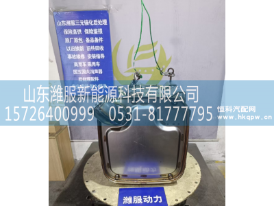 1018491436,三元催化,山东潍服新能源科技有限公司