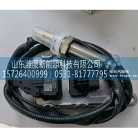 X10020257/97103,氮氧传感器,山东潍服新能源科技有限公司