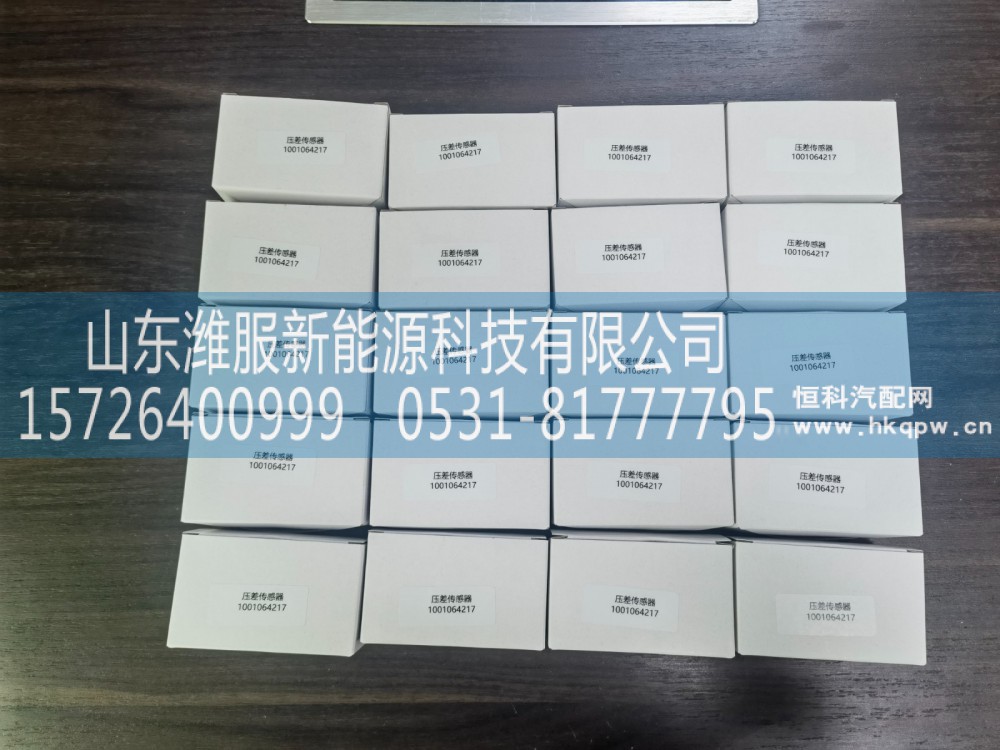 1001064217 压差传感器