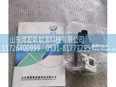 ,EGR阀,山东潍服新能源科技有限公司