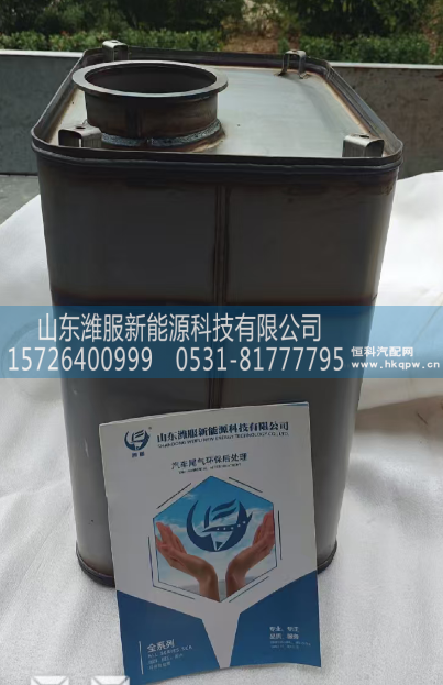1001363904,净化器总成,山东潍服新能源科技有限公司